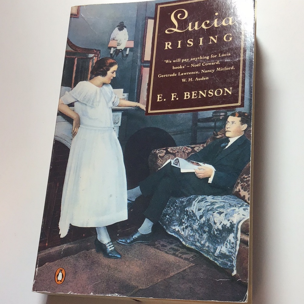 5/$25 Lucia Rising E.F.Benson soft cover book 720 pages glam 1920s penguin 1991